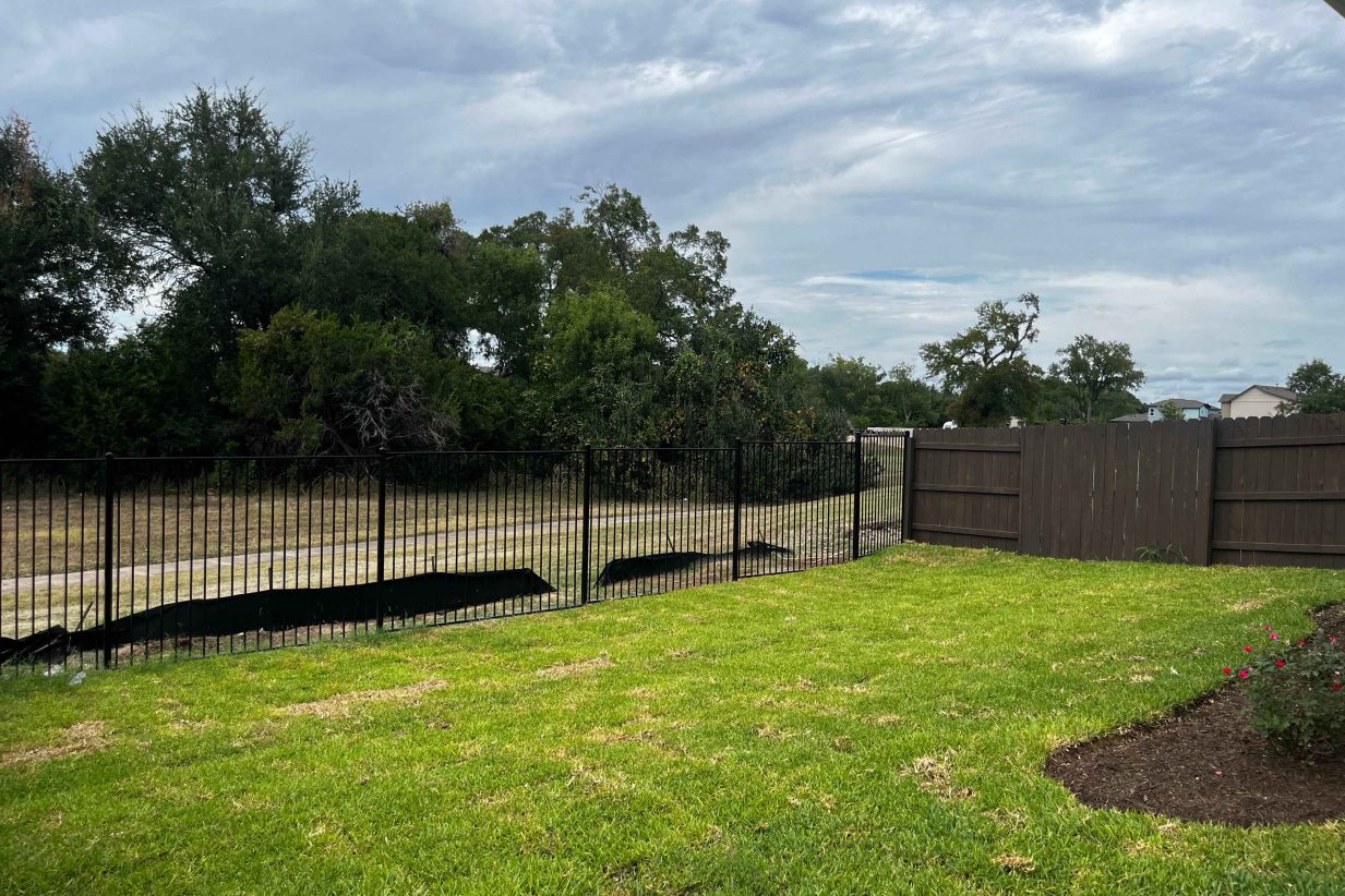 A image of a backyard with green grass, a brown fence, a black fence, and the green trees and blue cloudy sky in the background.