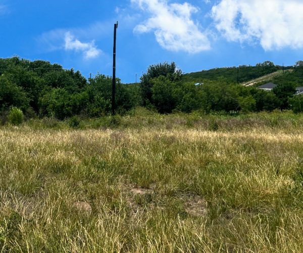 San Antonio field at Hunters Ranch